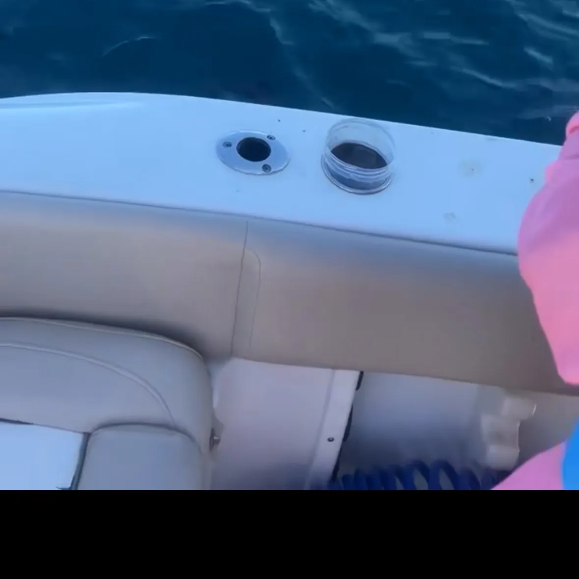 The most recent Nurse shark catches on Fishbrain