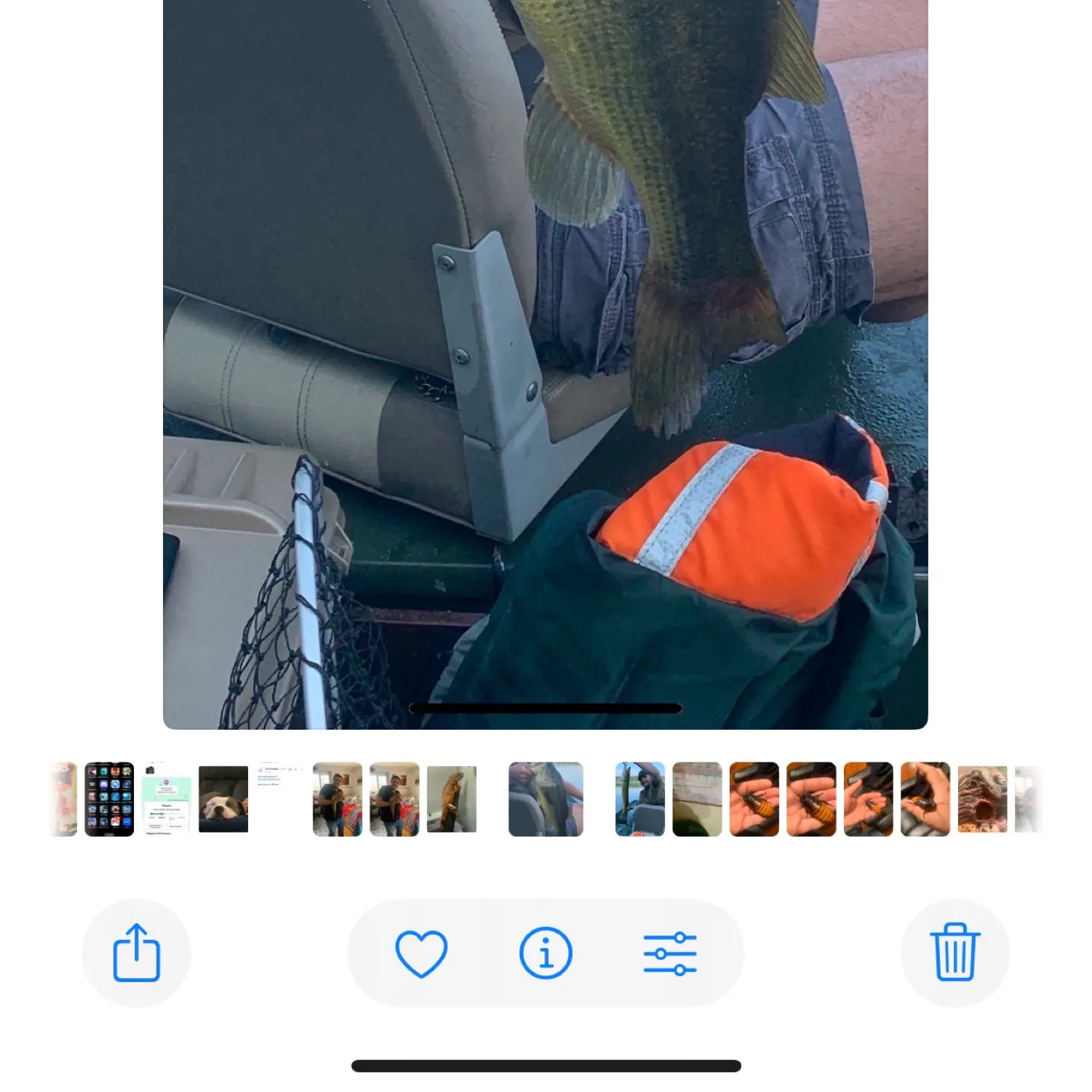 recently logged catches