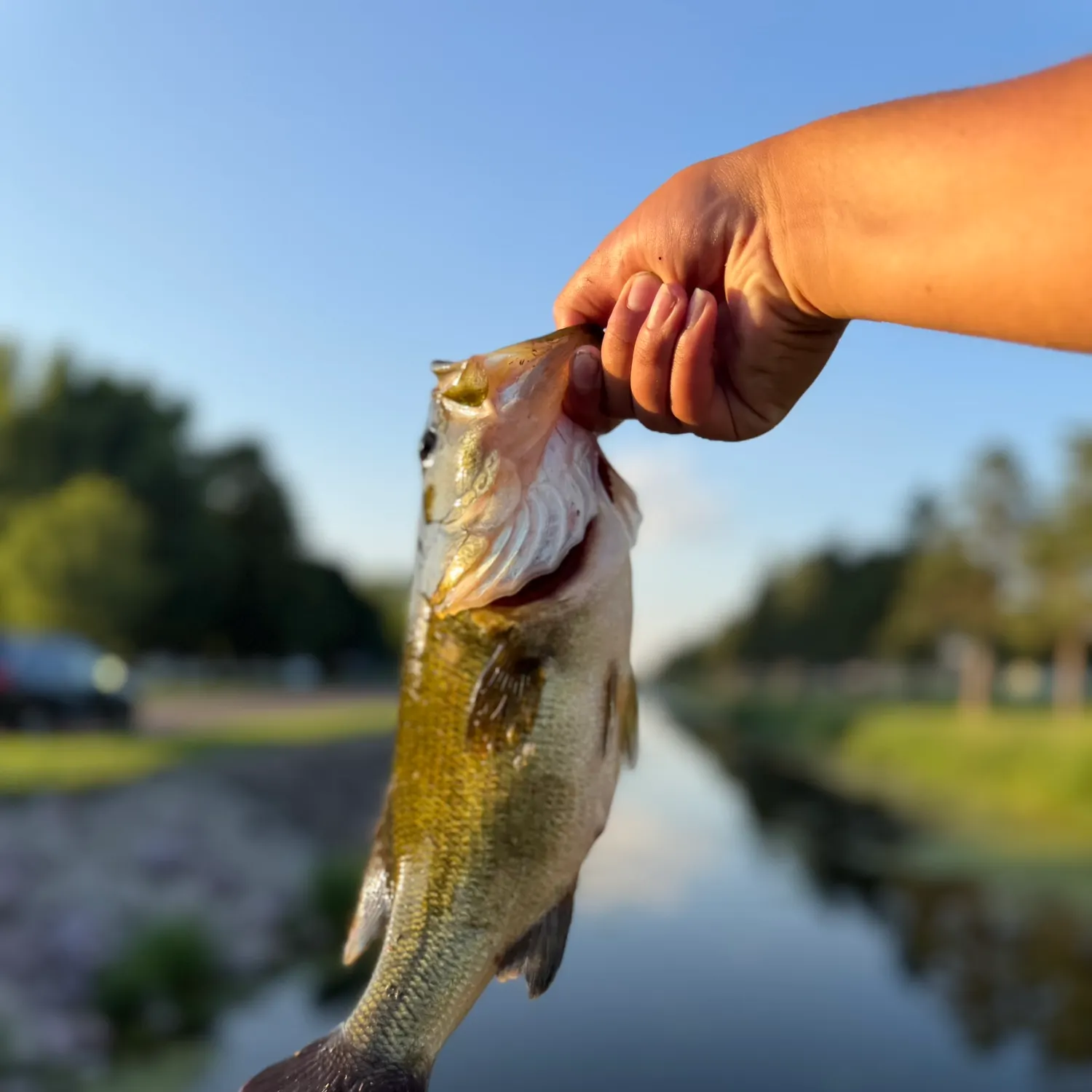 catch