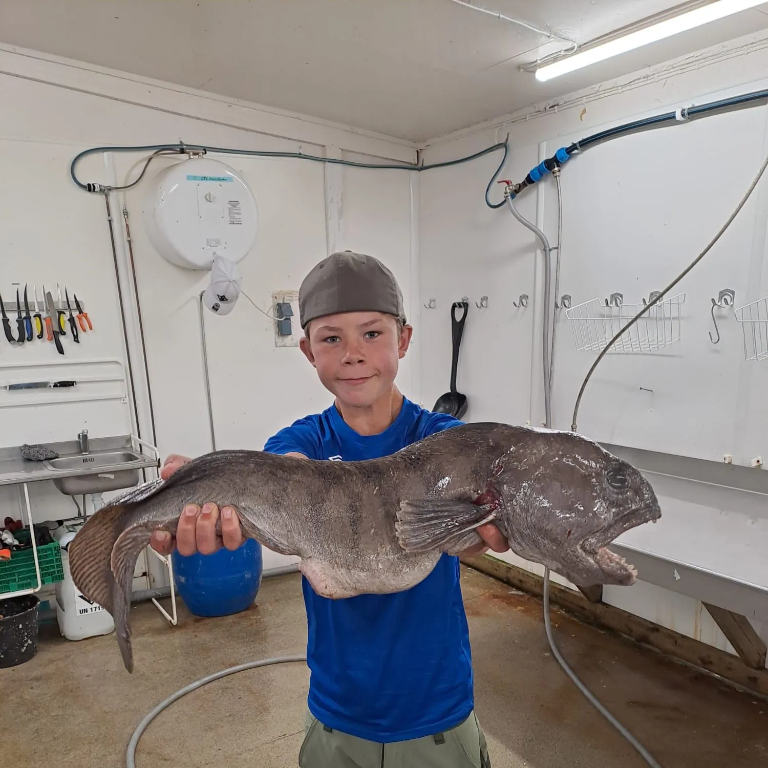 The most recent Atlantic wolffish catches on Fishbrain