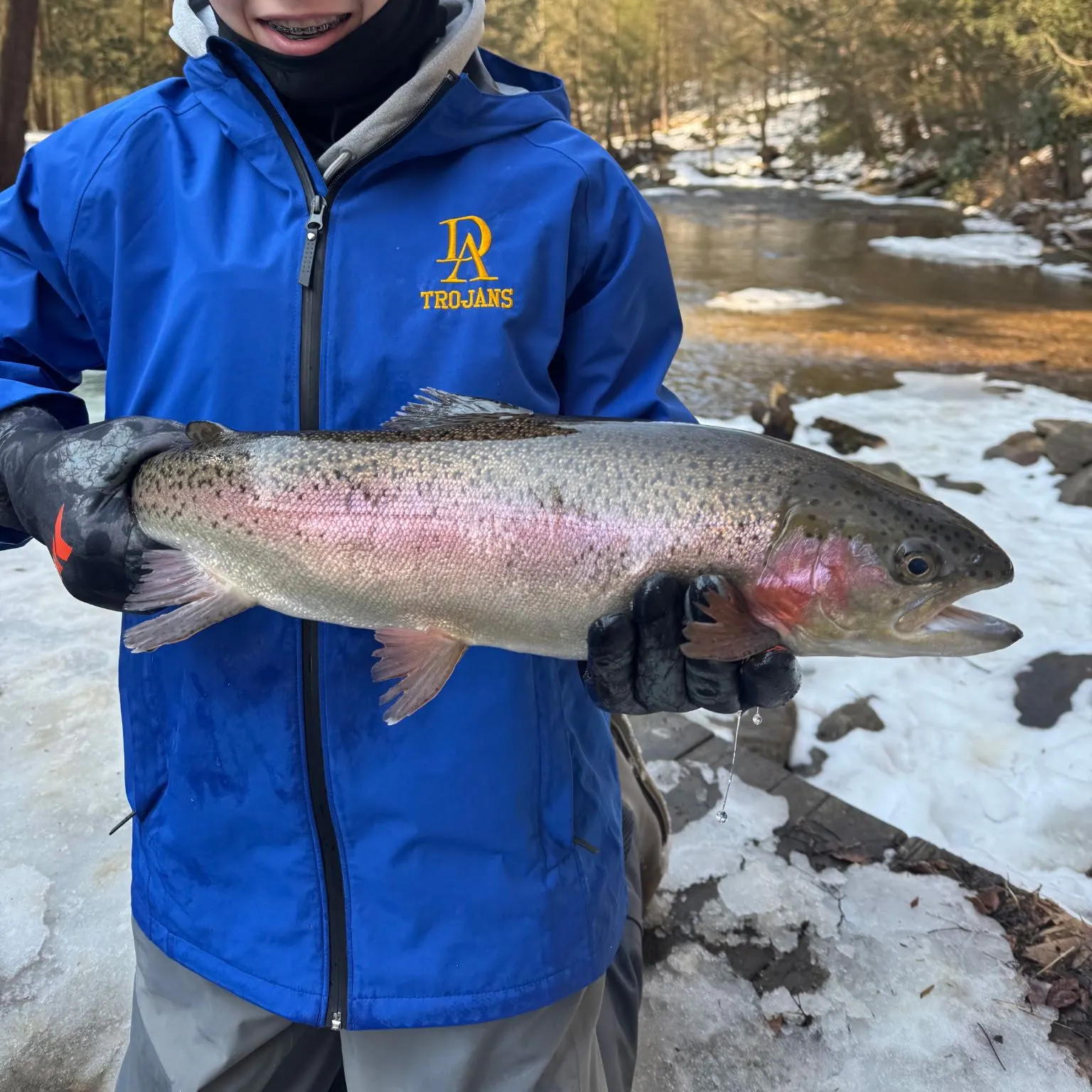 Rainbow trout caught on Fishbrain