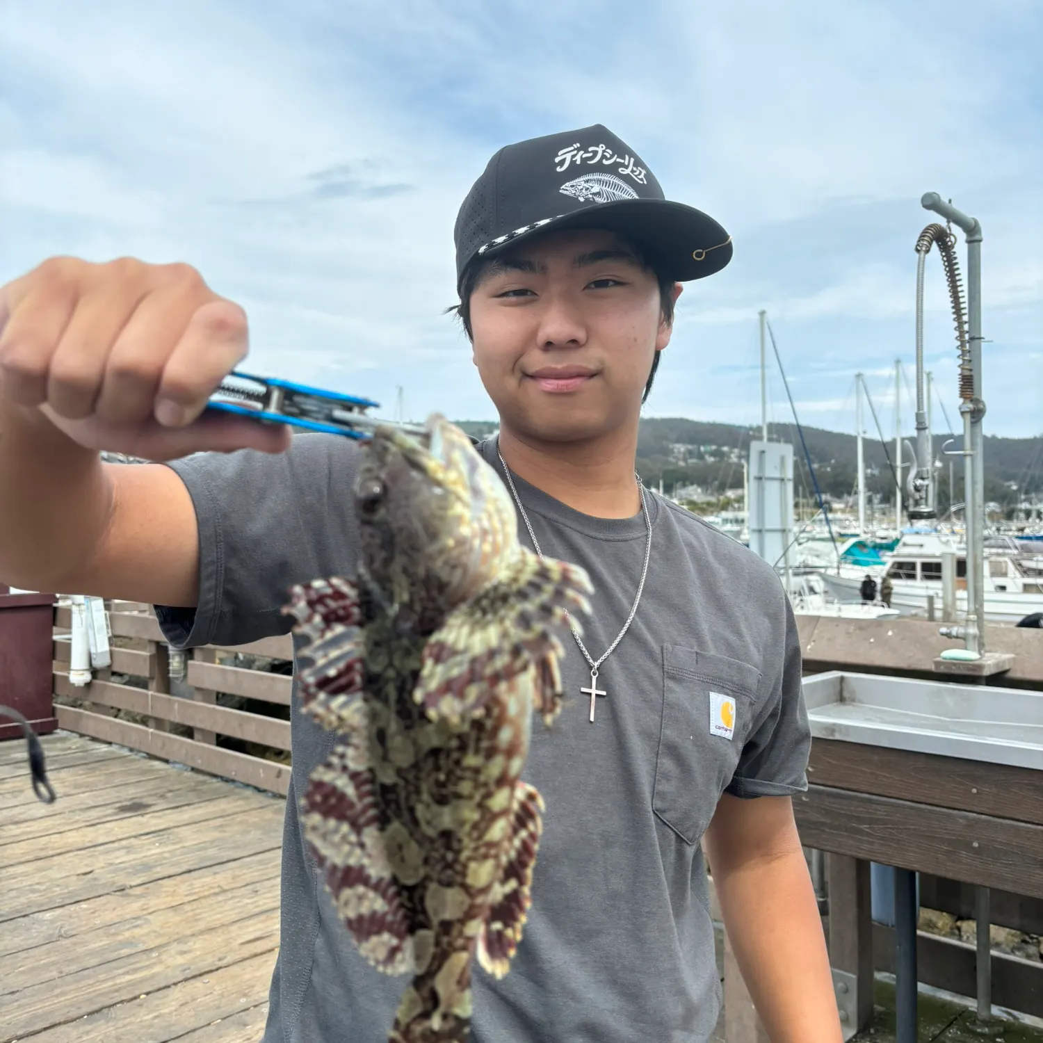 Cabezon caught on Fishbrain