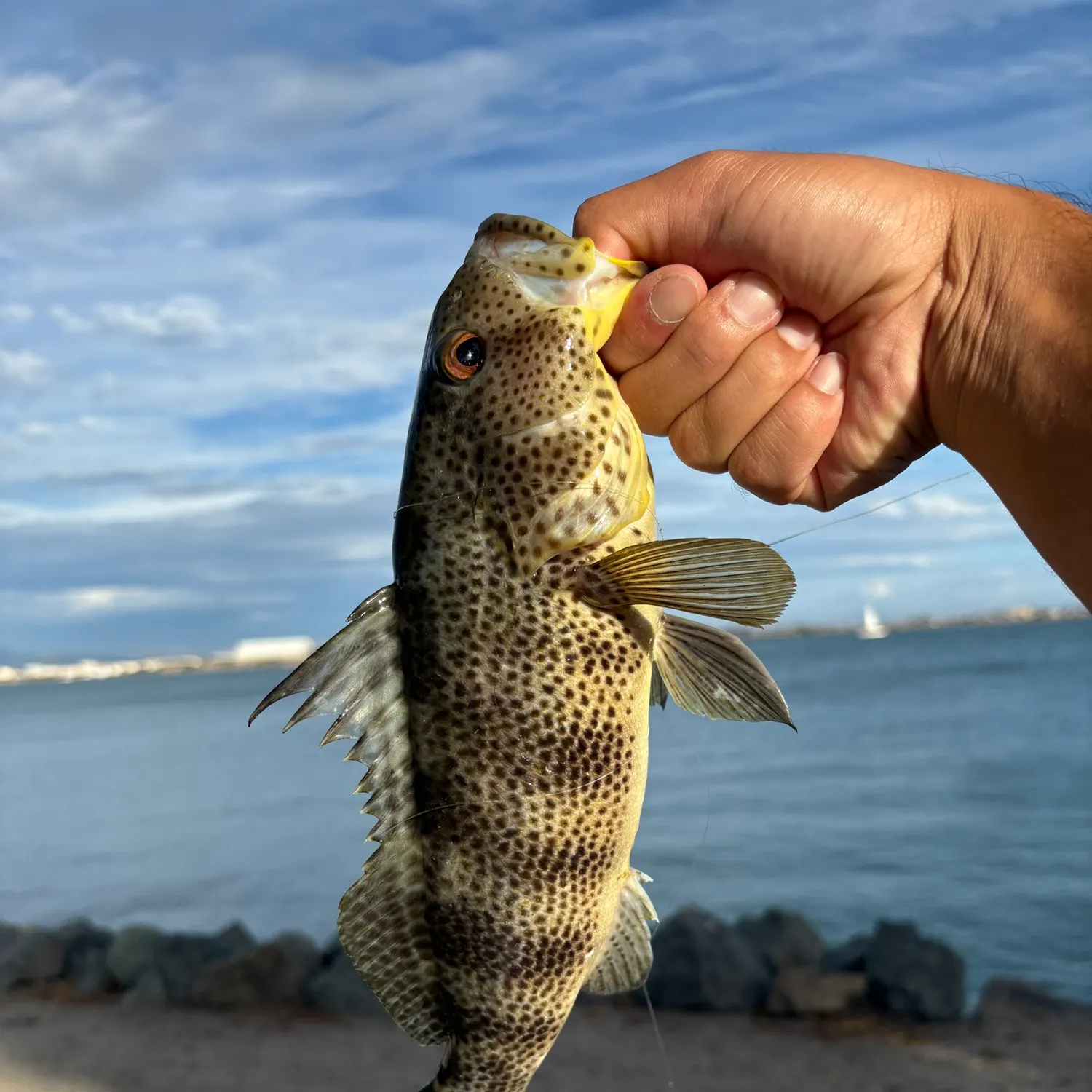 catch