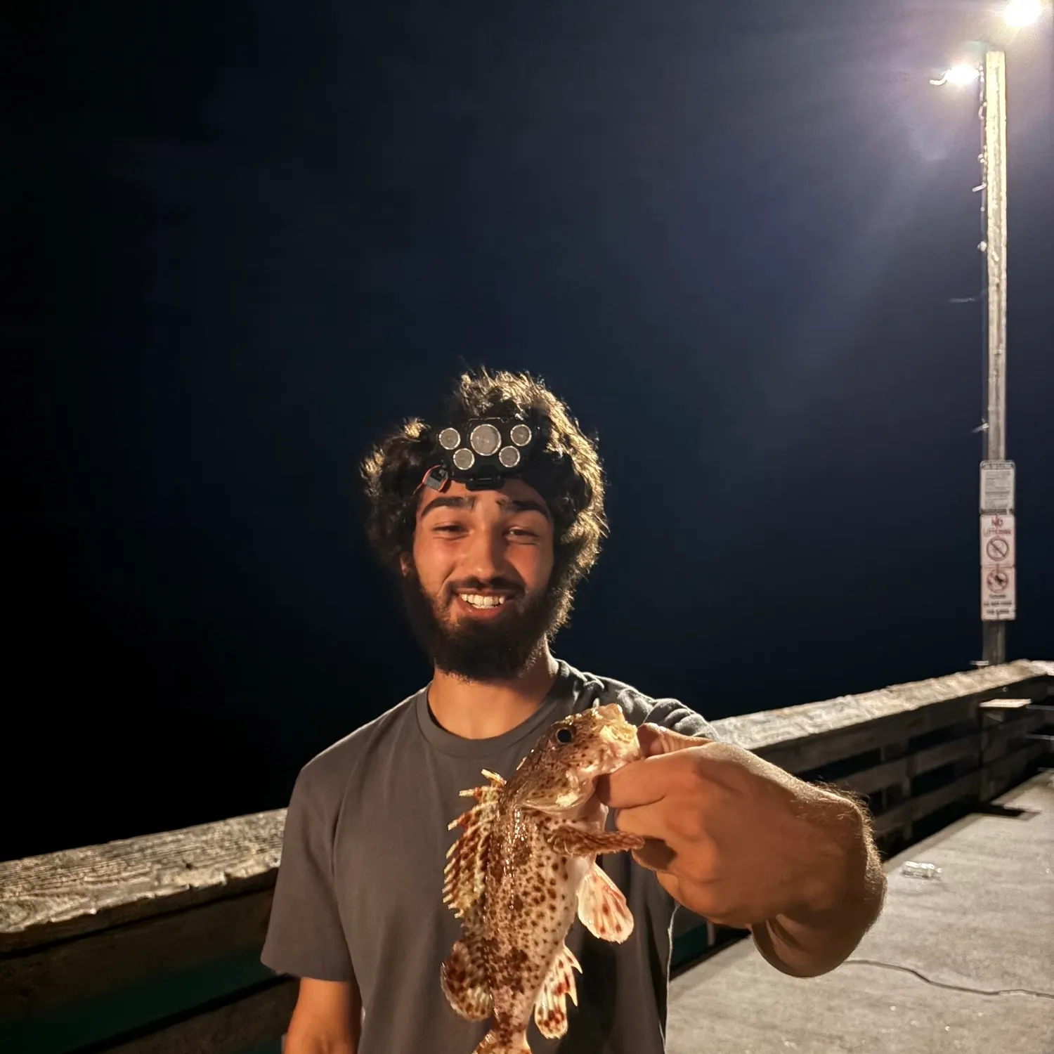 California scorpionfish caught on Fishbrain