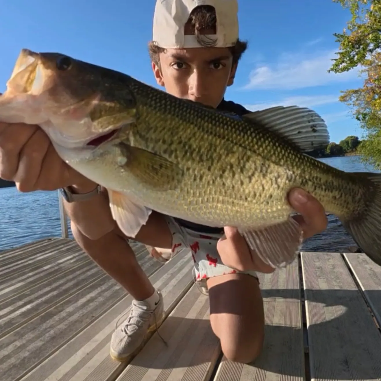 Largemouth bass caught on Fishbrain