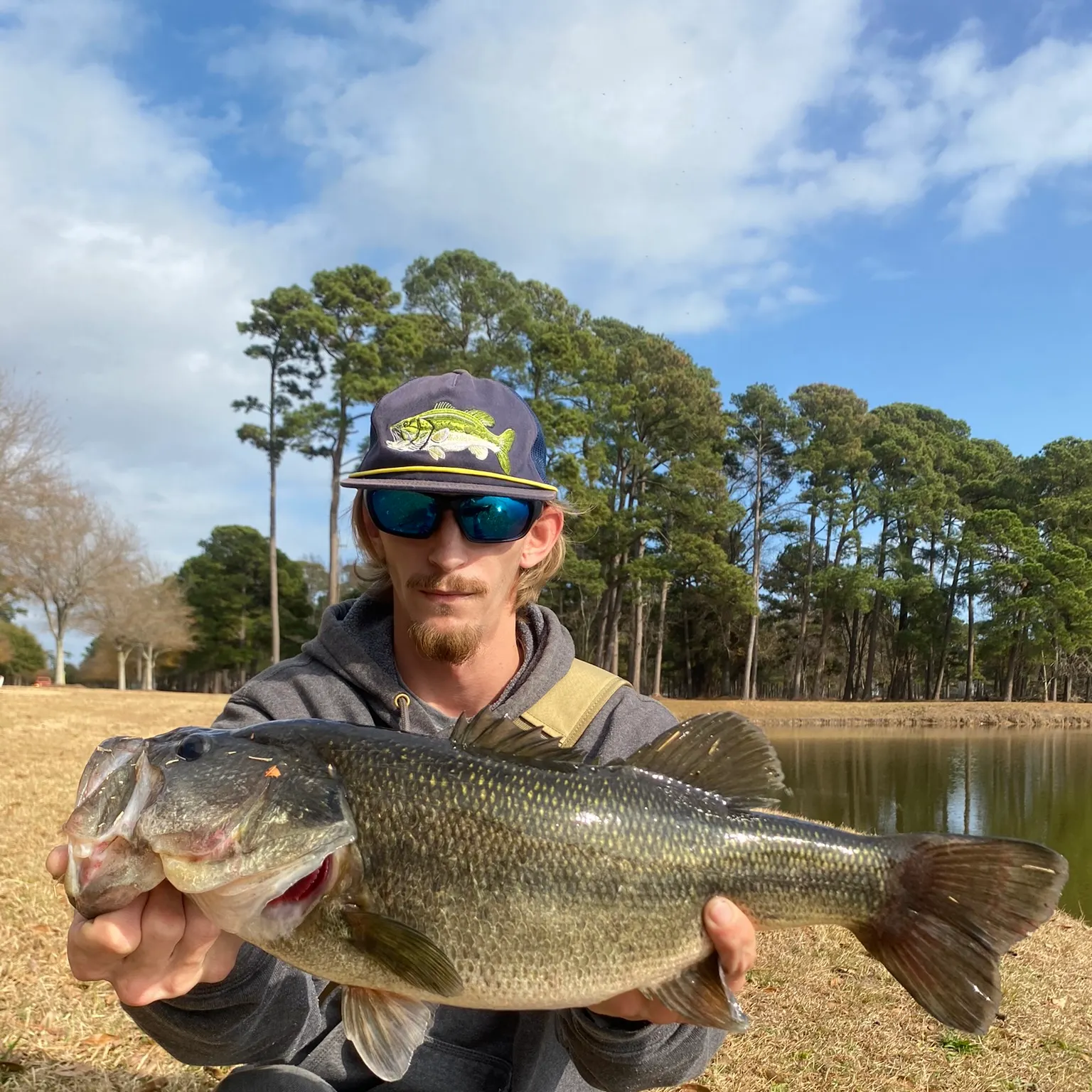 The most recent Largemouth bass catches on Fishbrain