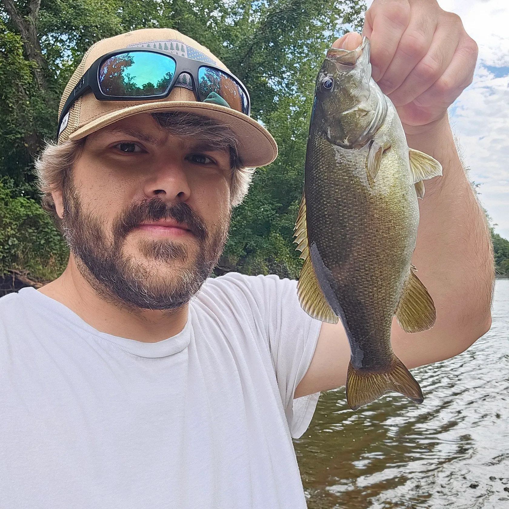 Smallmouth bass caught on Fishbrain
