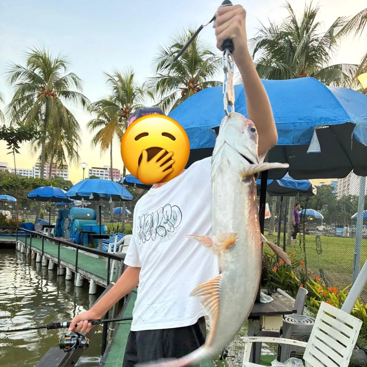 The most recent Giant pangasius catches on Fishbrain