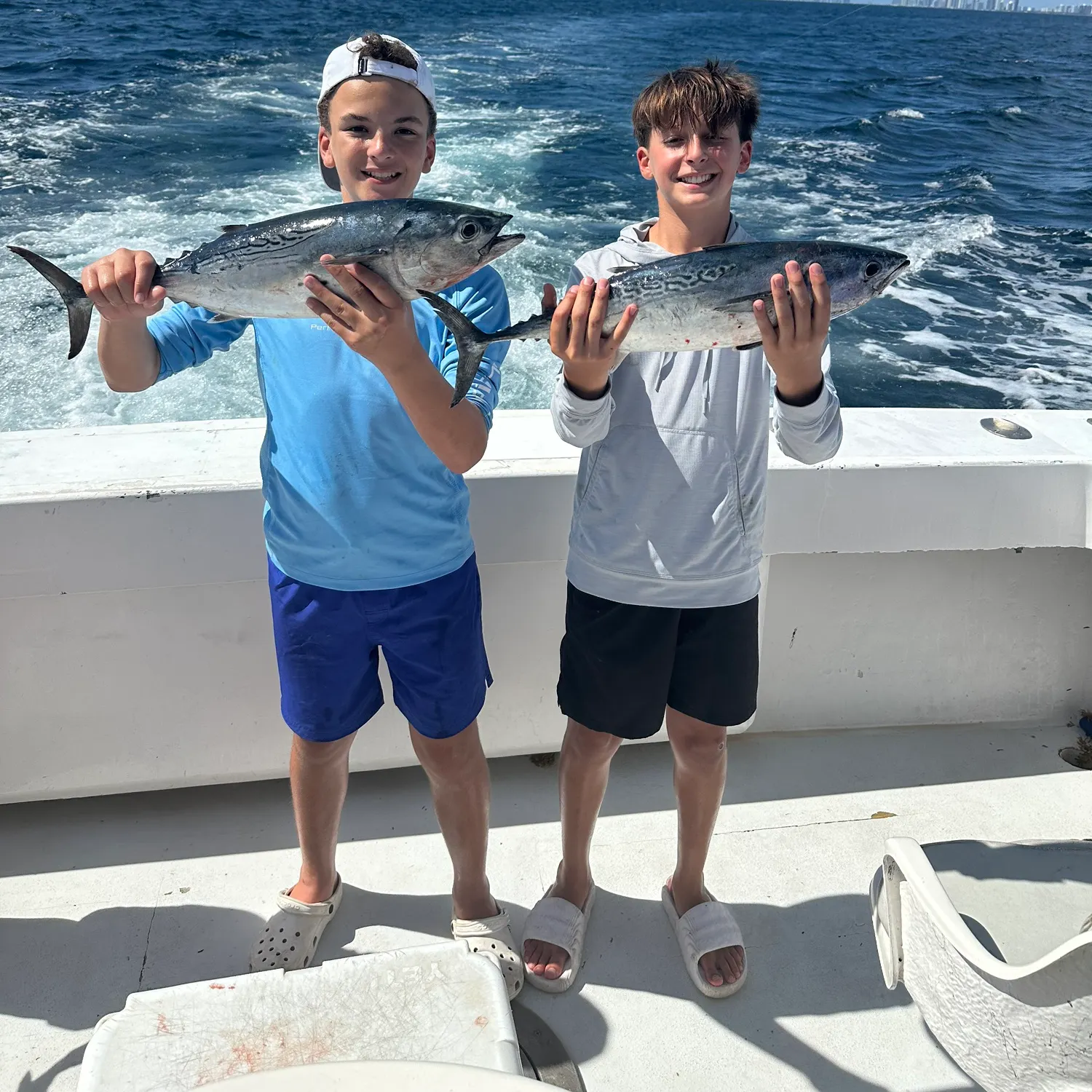The most recent Little tunny catches on Fishbrain