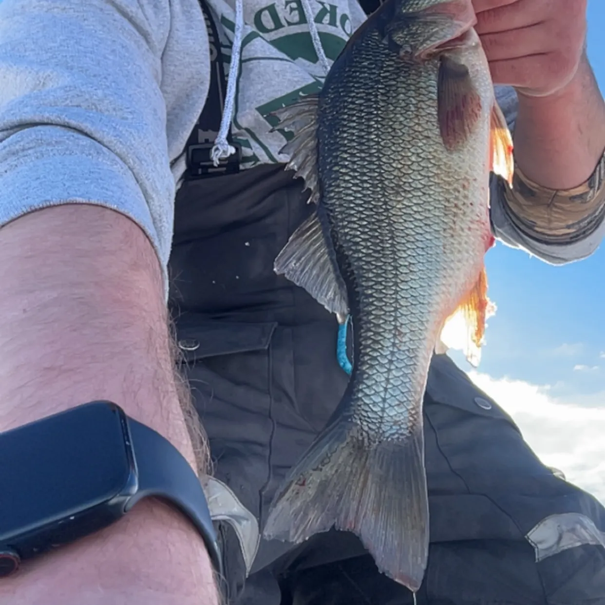 The most recent White perch catches on Fishbrain