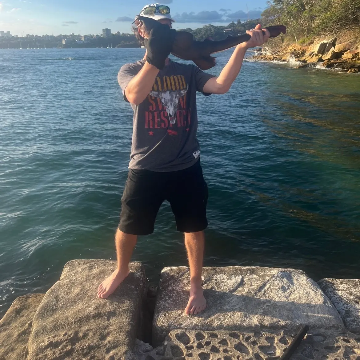 The most recent Blind shark catches on Fishbrain