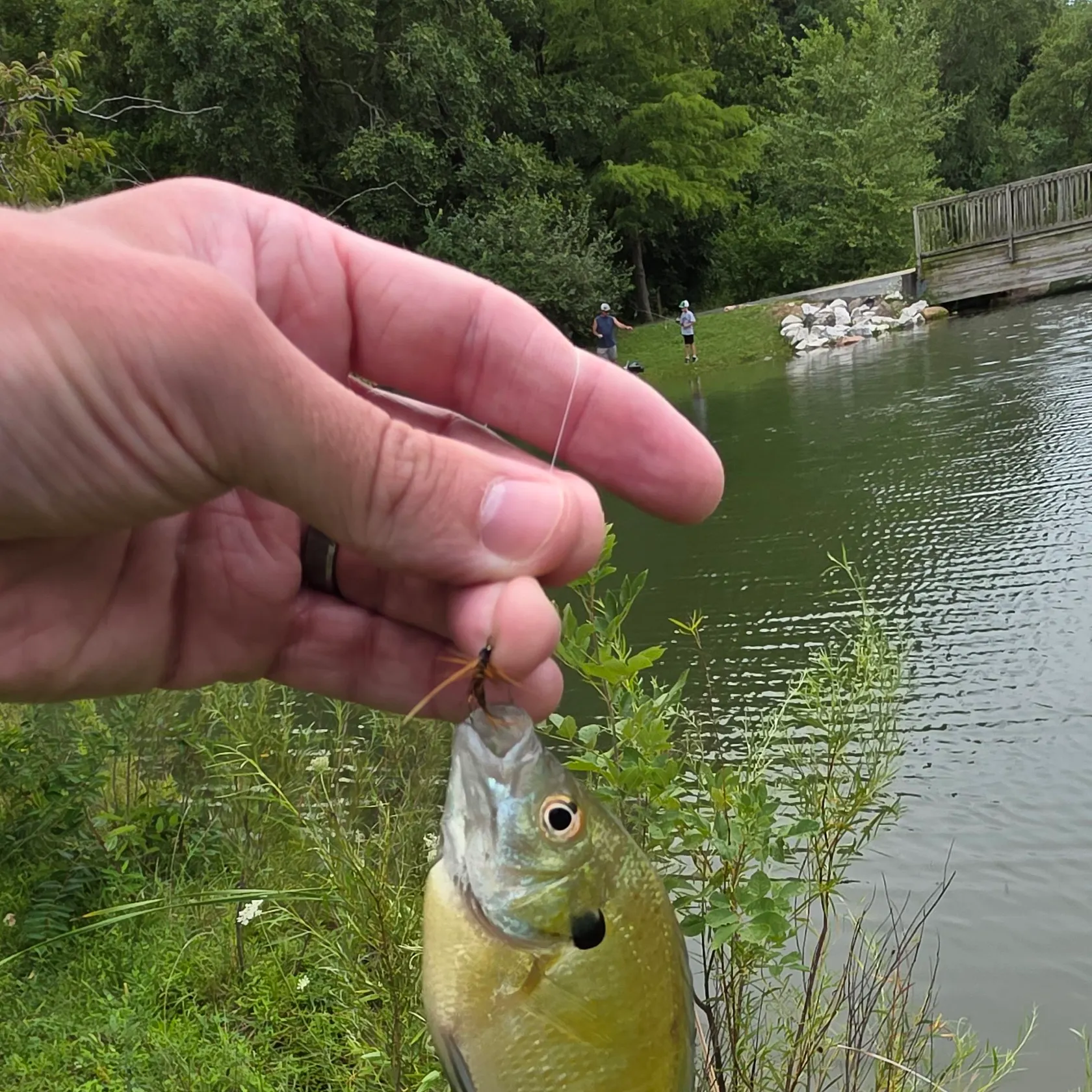 catch