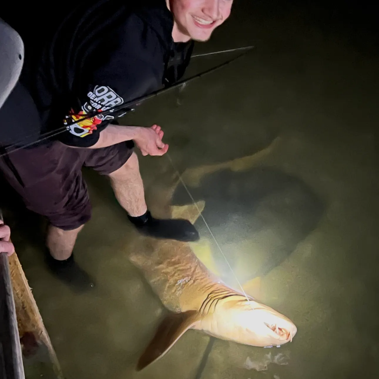 The most recent Nurse shark catches on Fishbrain