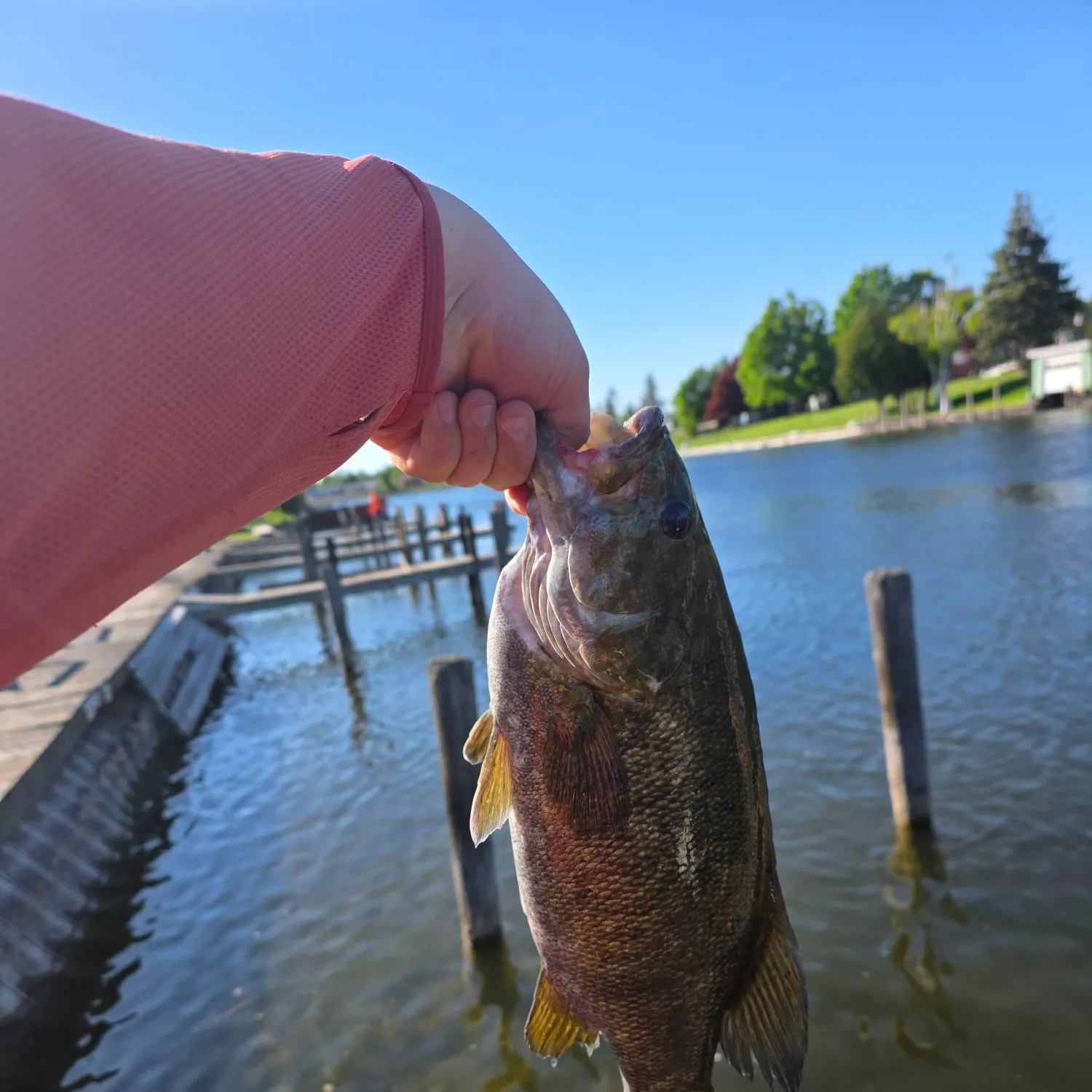 catch