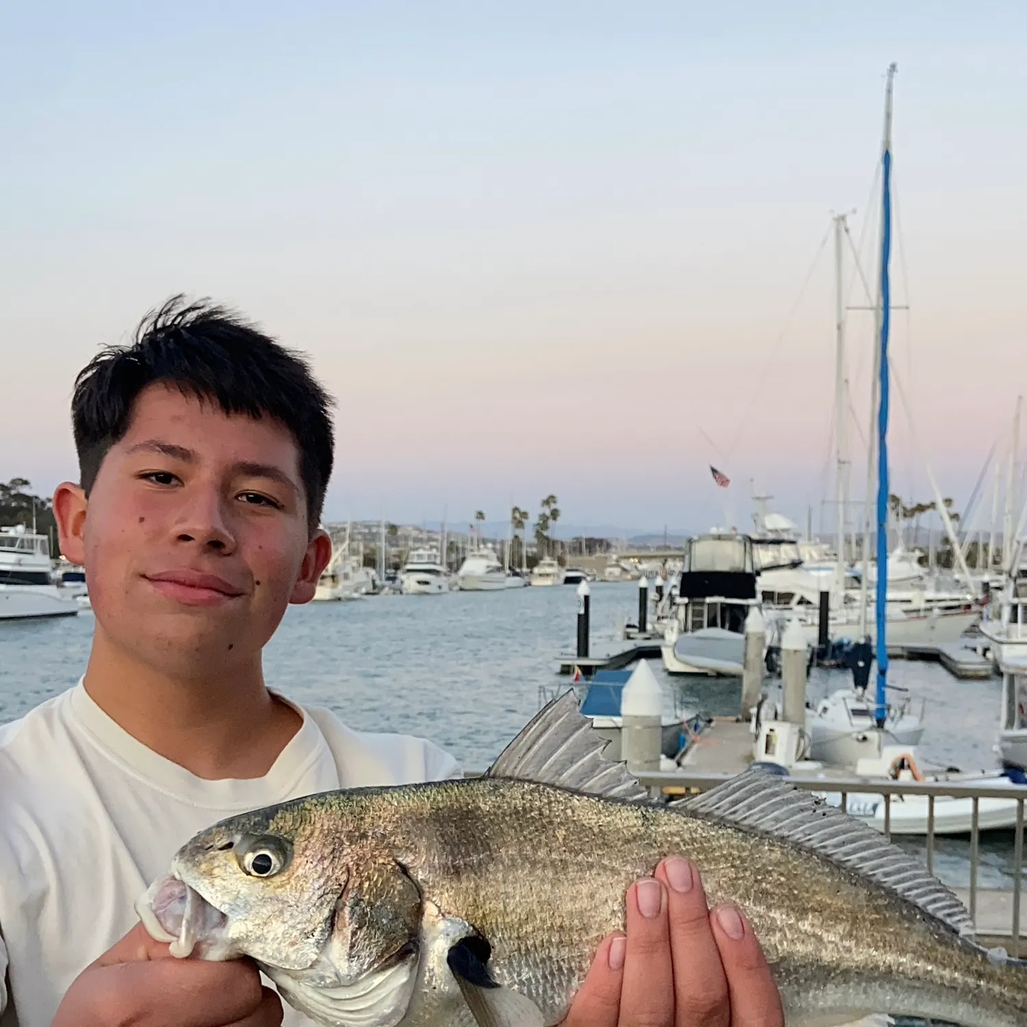 The most recent Spotfin croaker catches on Fishbrain