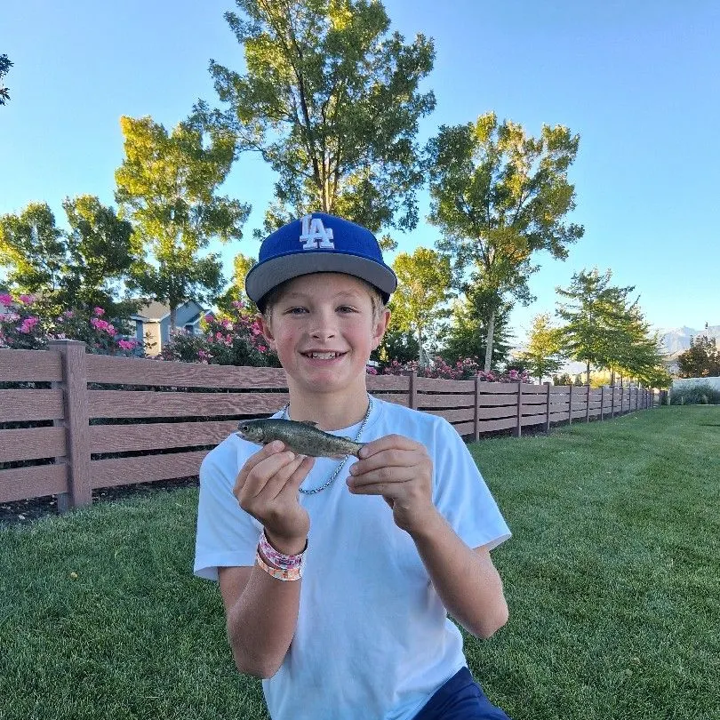 The most recent Bonneville cutthroat trout catches on Fishbrain