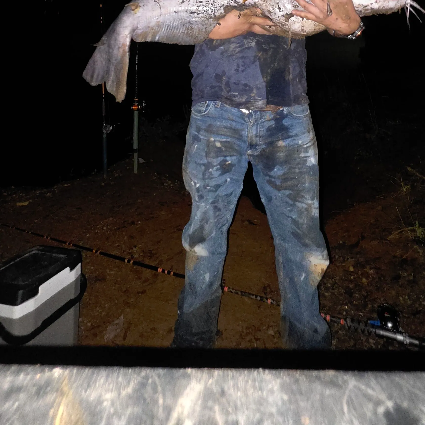 Blue catfish caught on Fishbrain