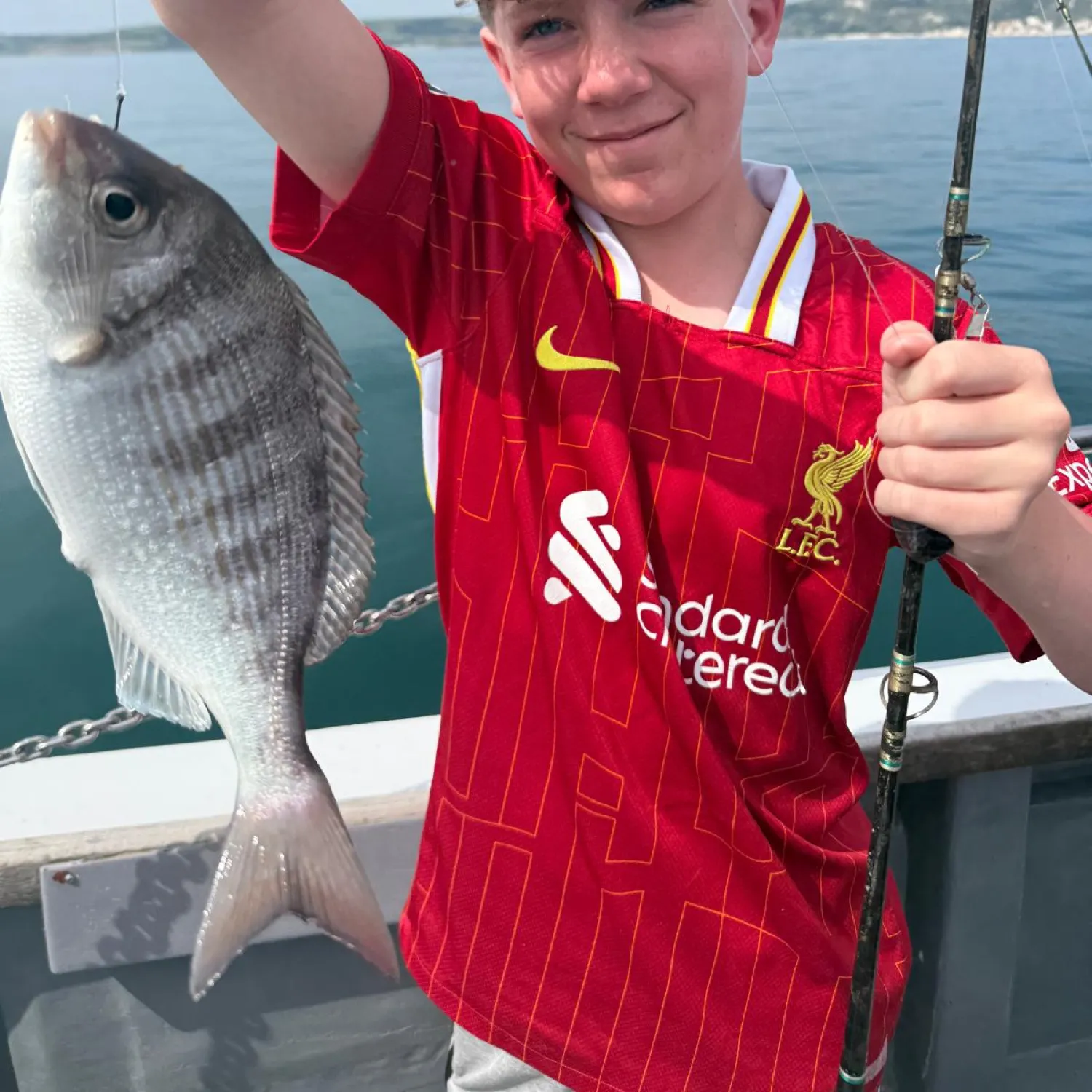 The most recent Black seabream catches on Fishbrain