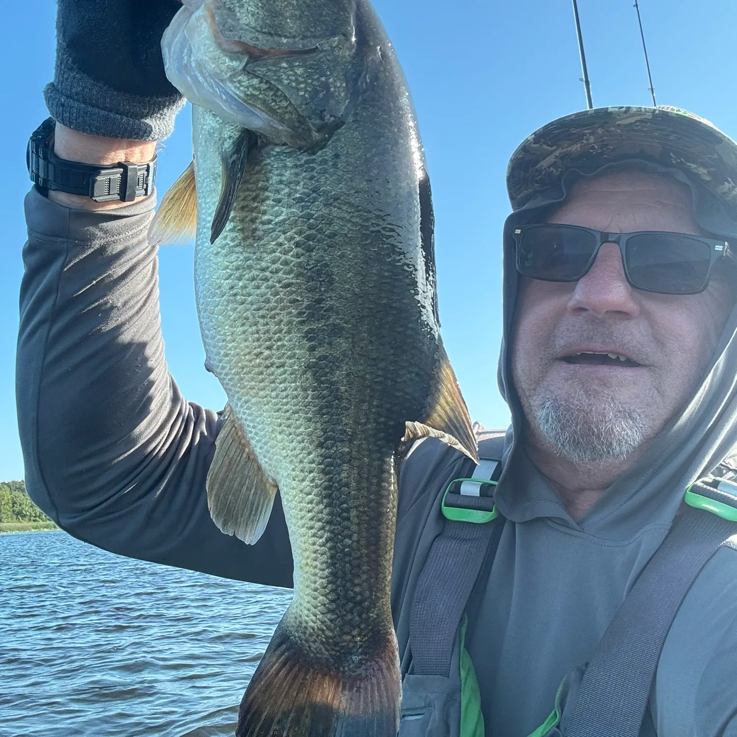 Largemouth bass caught on Fishbrain