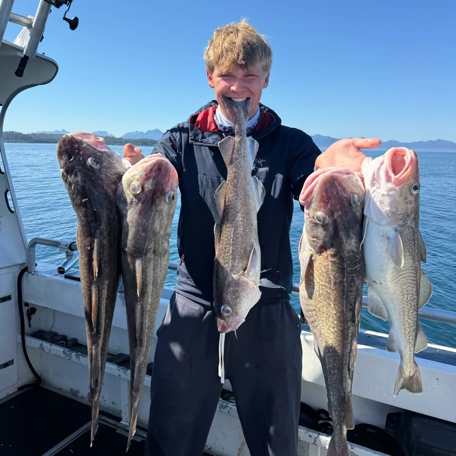 The most recent Pacific cod catches on Fishbrain