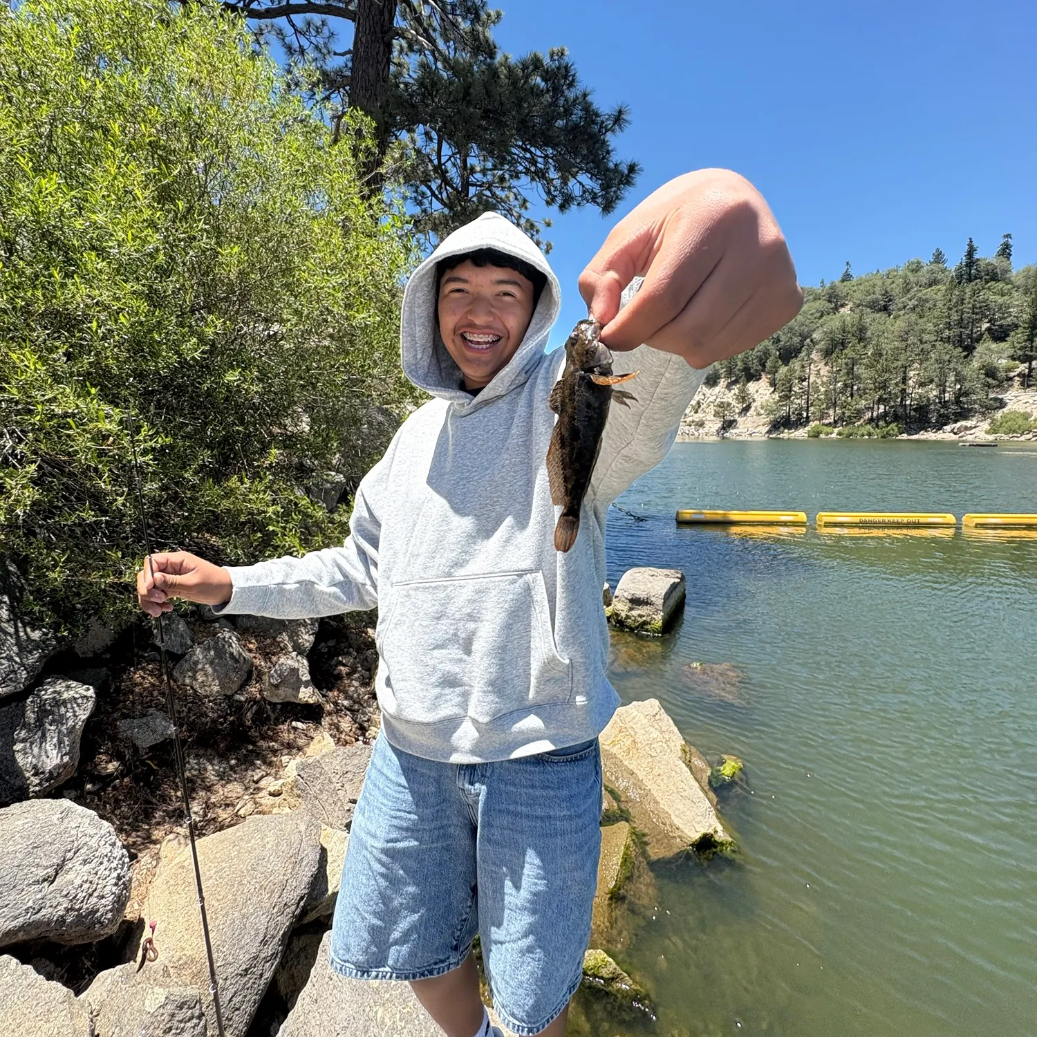 The most recent Fox rockfish catches on Fishbrain
