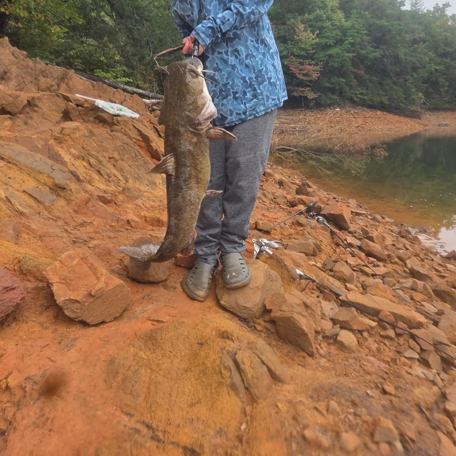 Flathead catfish caught on Fishbrain