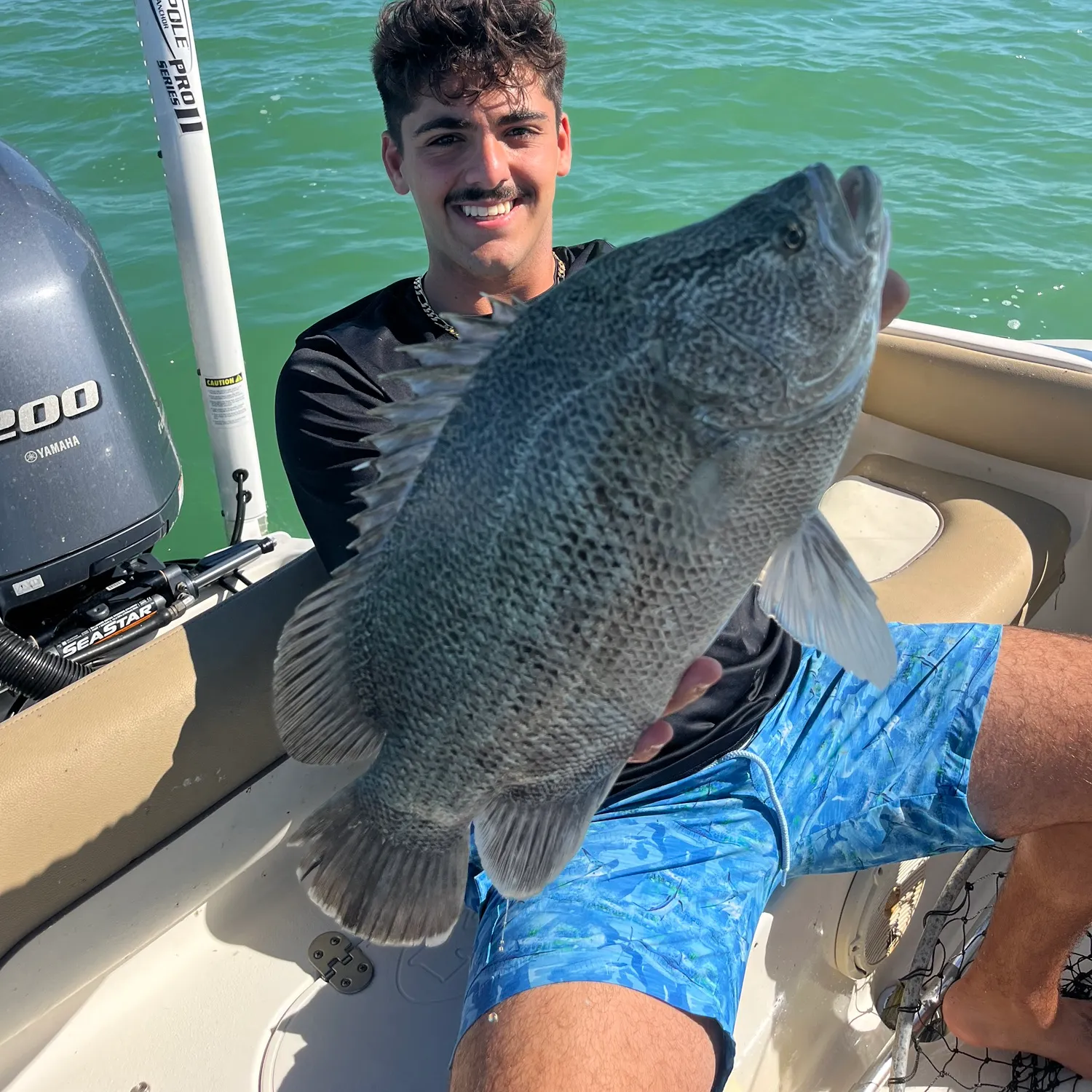 The most recent Atlantic tripletail catches on Fishbrain