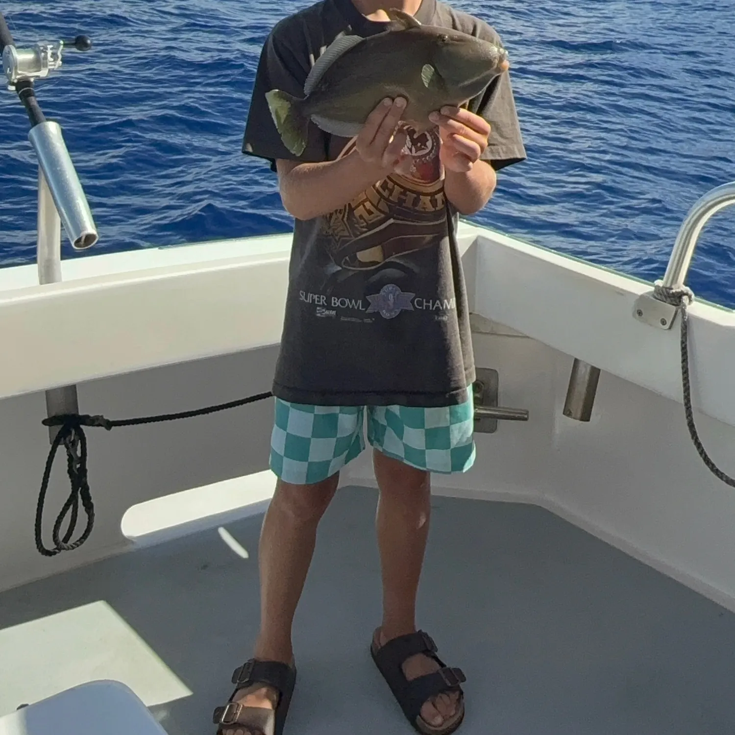 The most recent Bridled triggerfish catches on Fishbrain