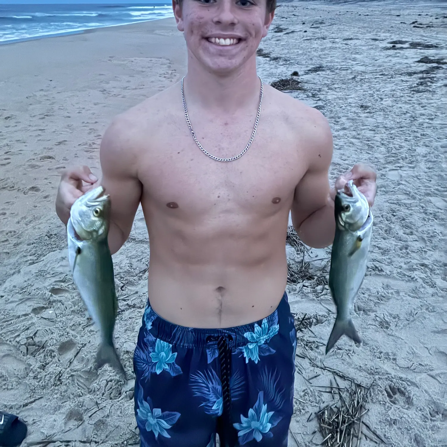 Bluefish caught on Fishbrain