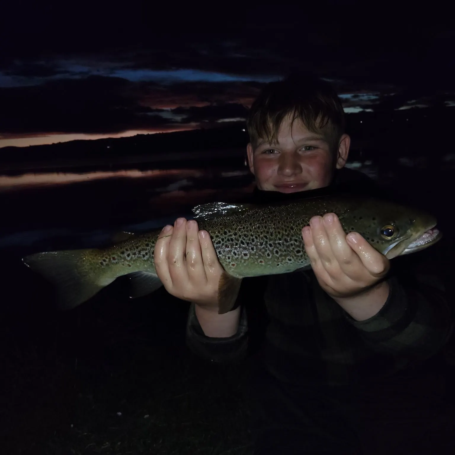 Brown trout caught on Fishbrain
