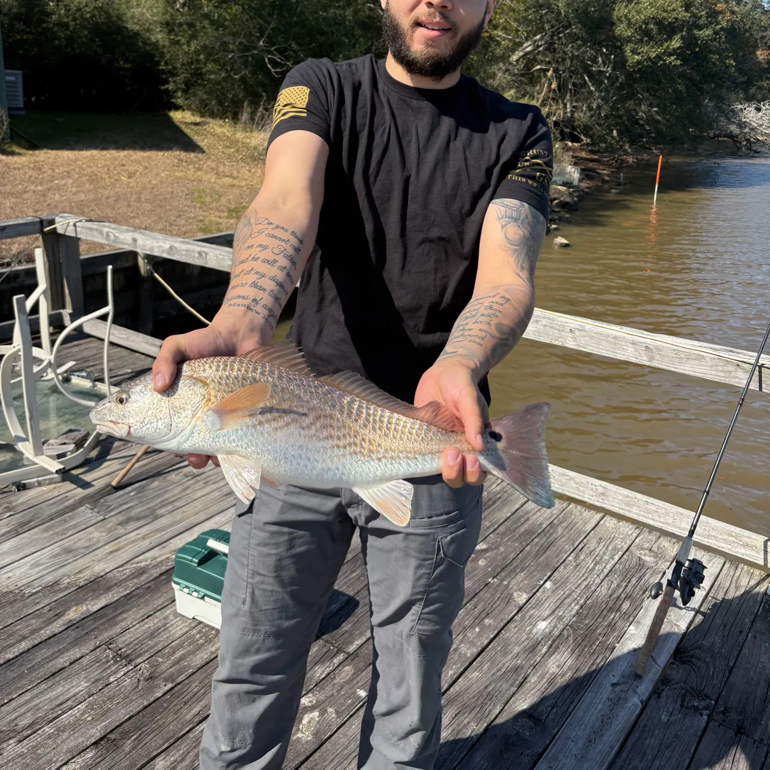 The most recent Red drum catches on Fishbrain