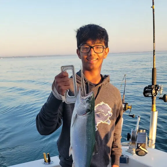 The most recent Coho salmon catches on Fishbrain