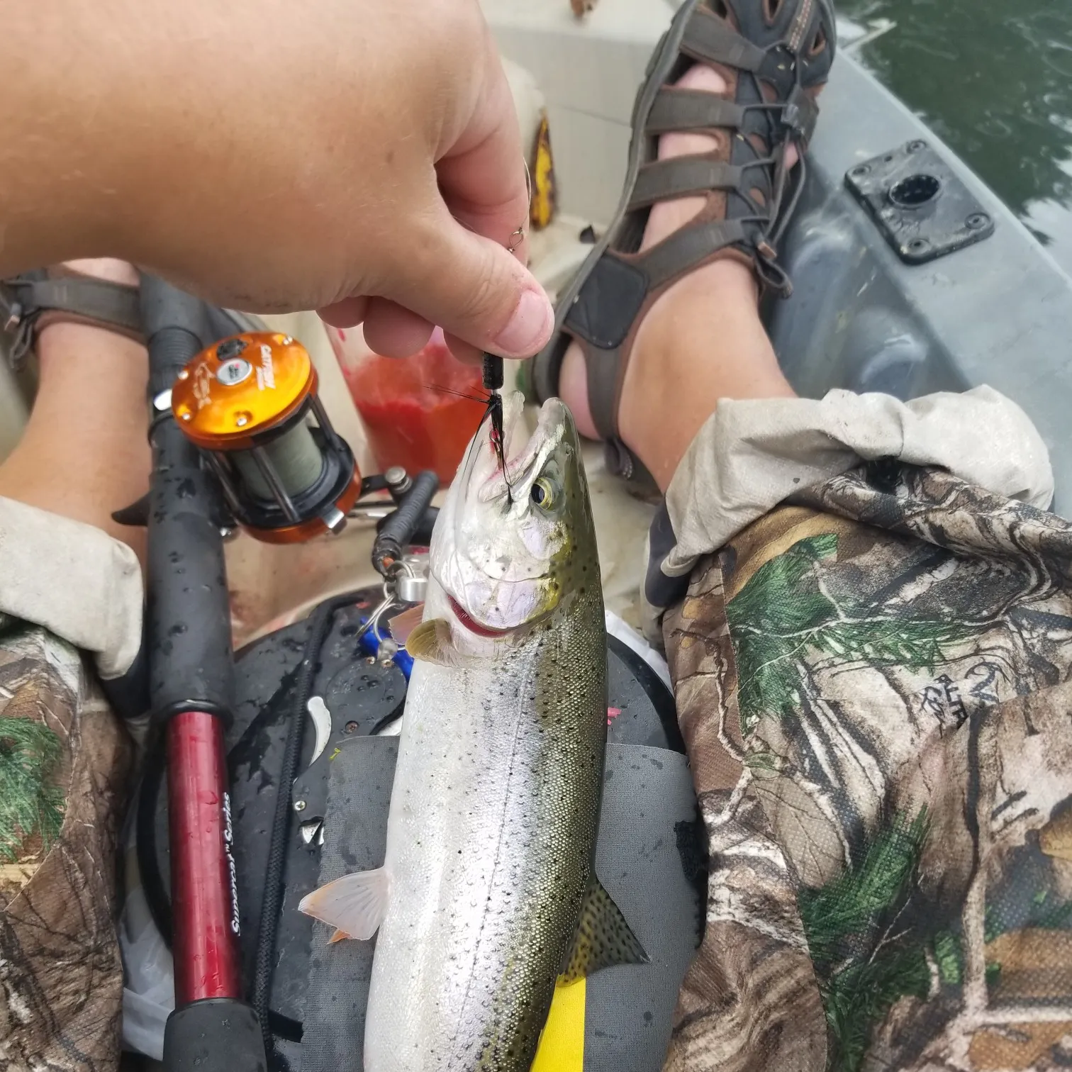 recently logged catches