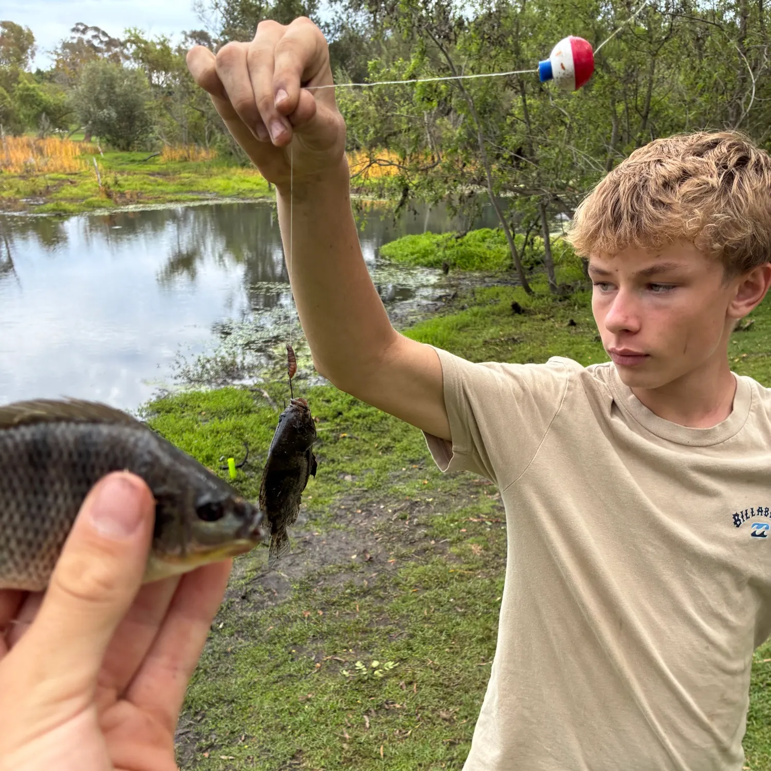 Fish caught on Fishbrain