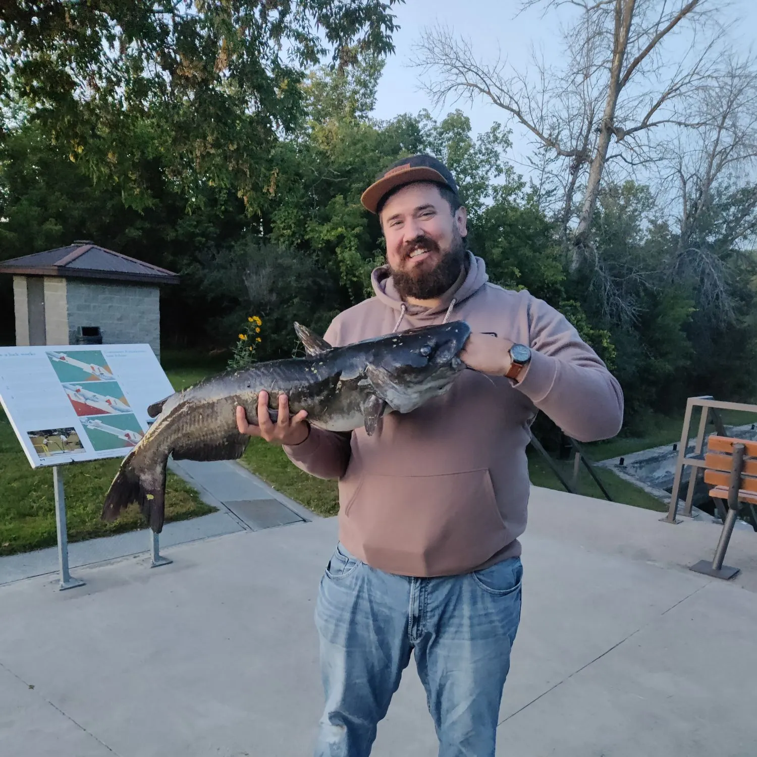 Channel catfish caught on Fishbrain
