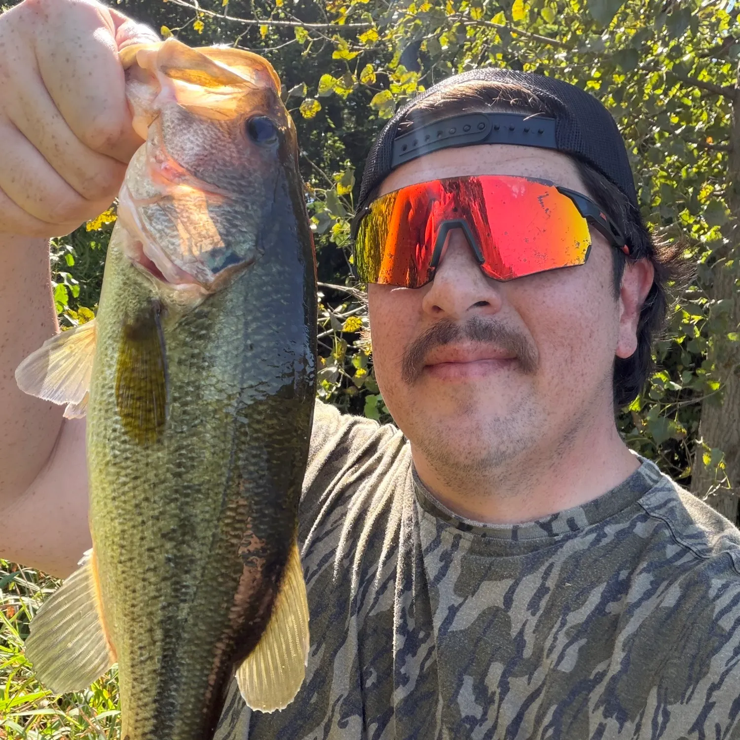 Largemouth bass caught on Fishbrain
