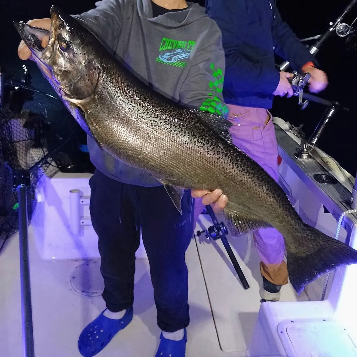 The most recent Chinook salmon catches on Fishbrain