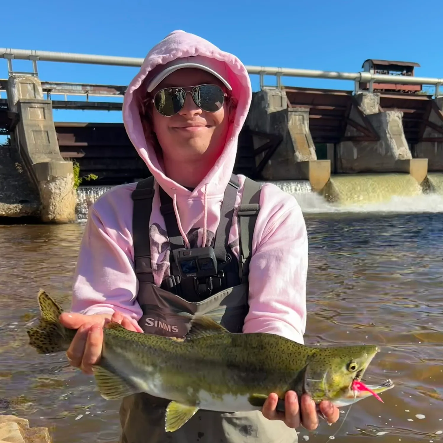 Pink salmon caught on Fishbrain