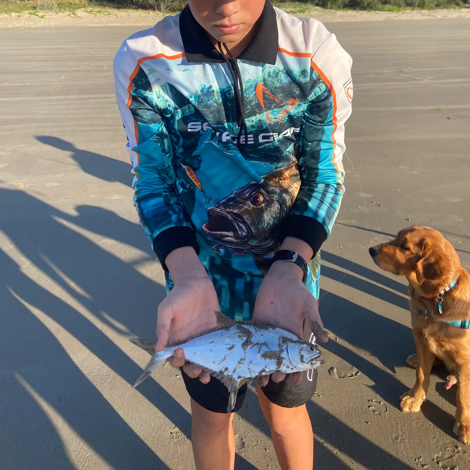 The most recent Talang queenfish catches on Fishbrain