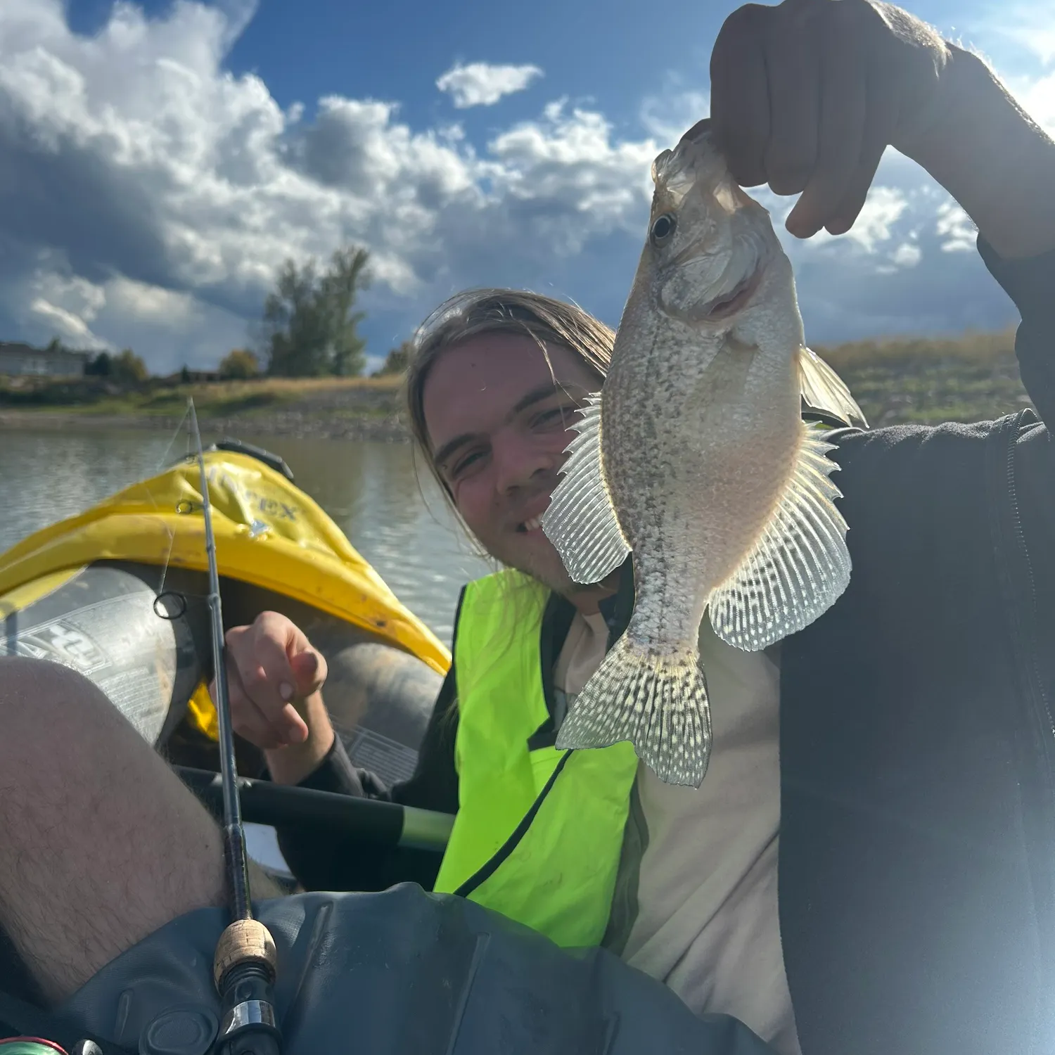 Black crappie caught on Fishbrain