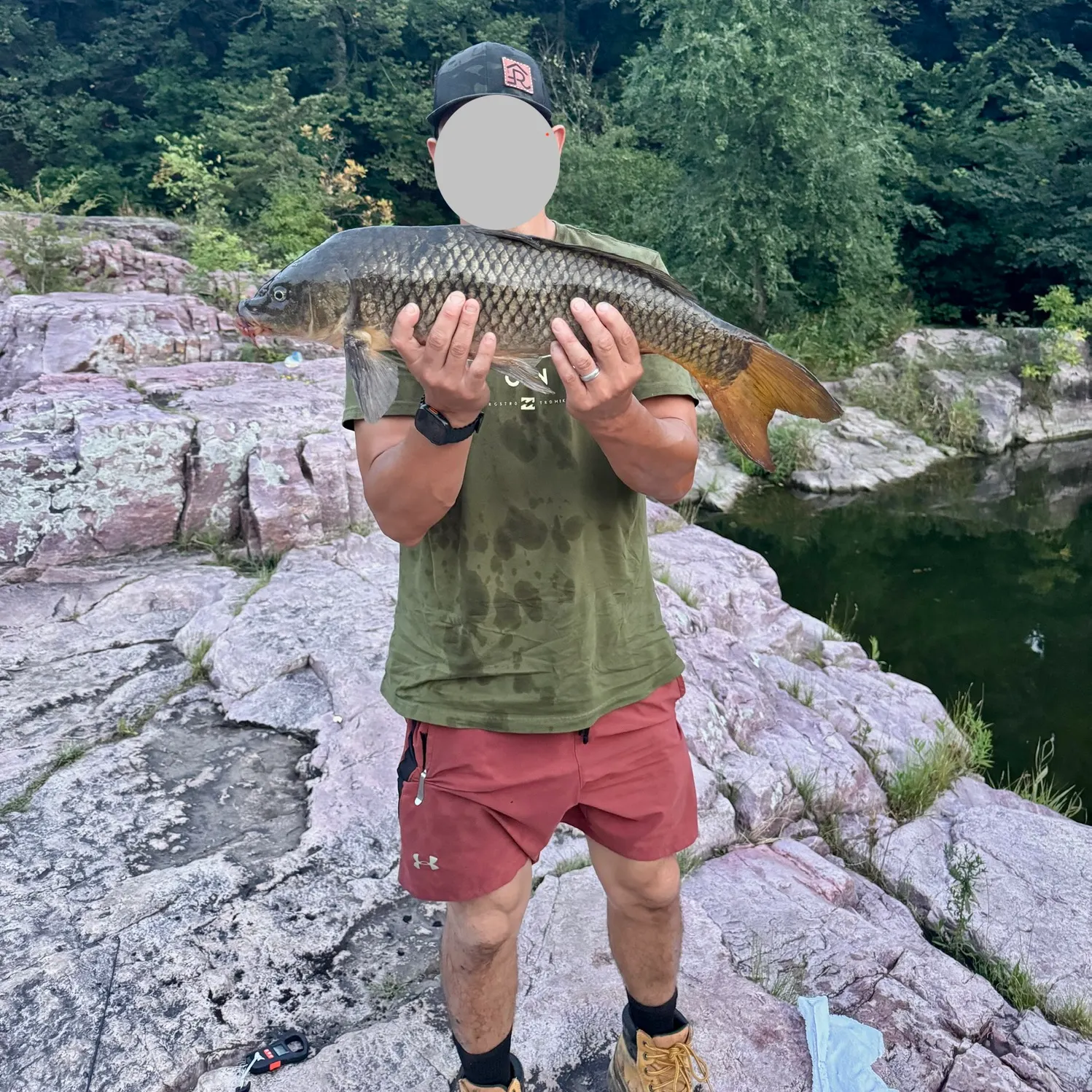 Common carp caught on Fishbrain