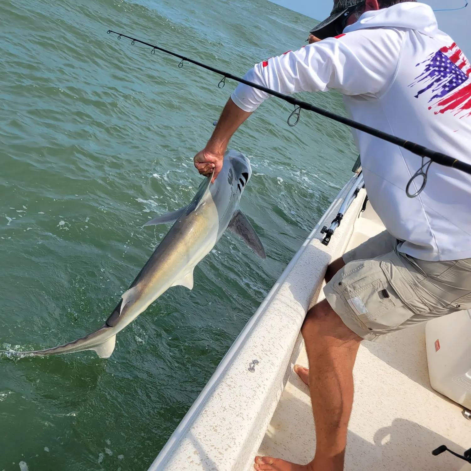 The most recent Blacktip shark catches on Fishbrain