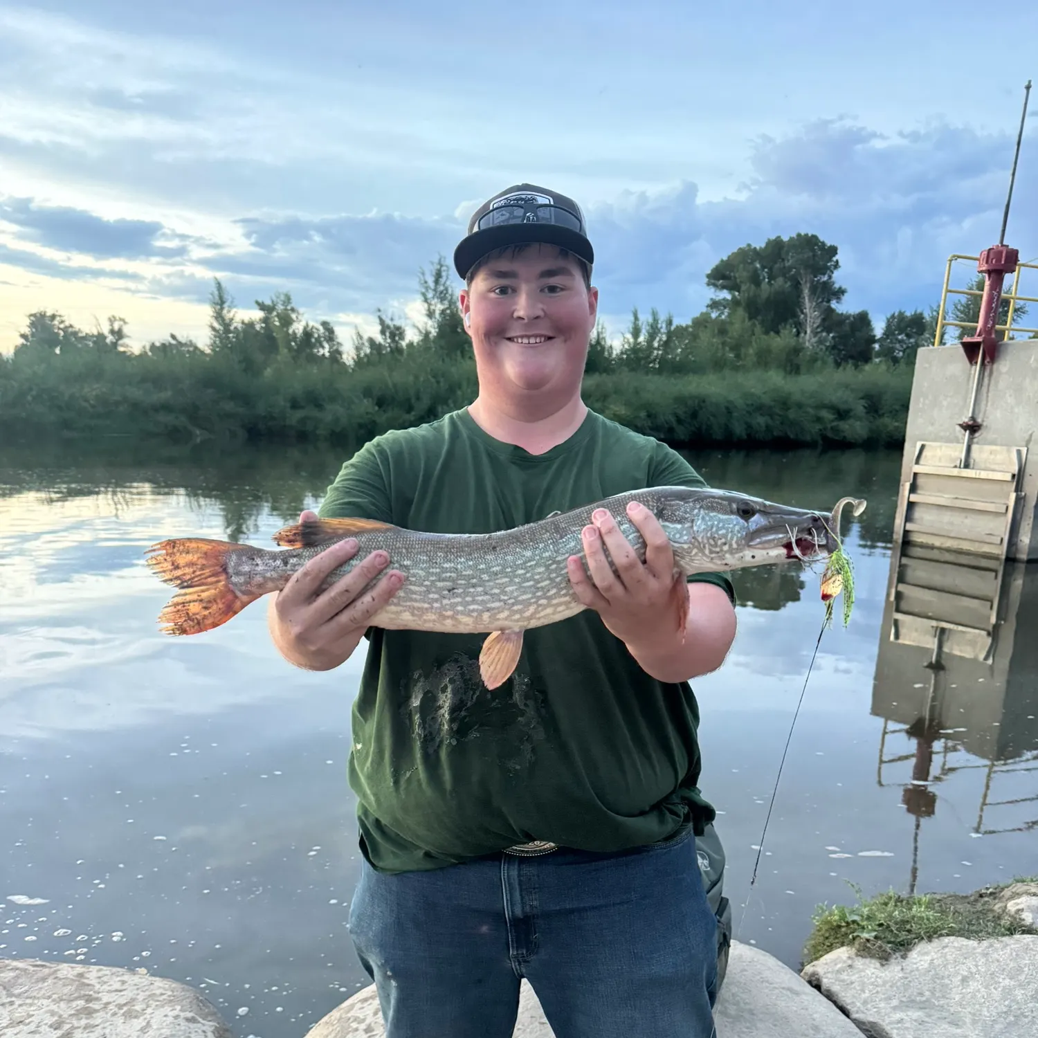 Northern pike caught on Fishbrain
