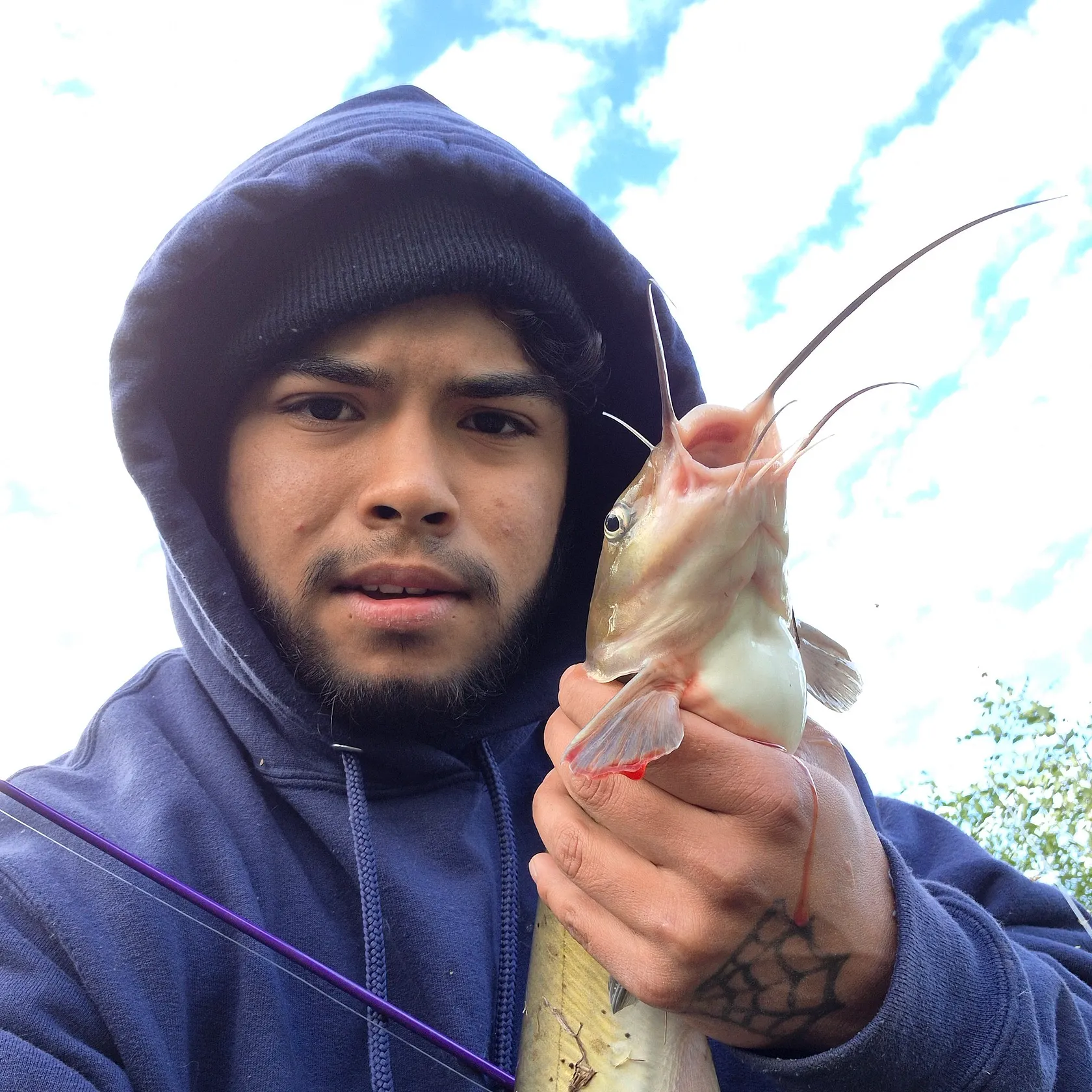 Channel catfish caught on Fishbrain