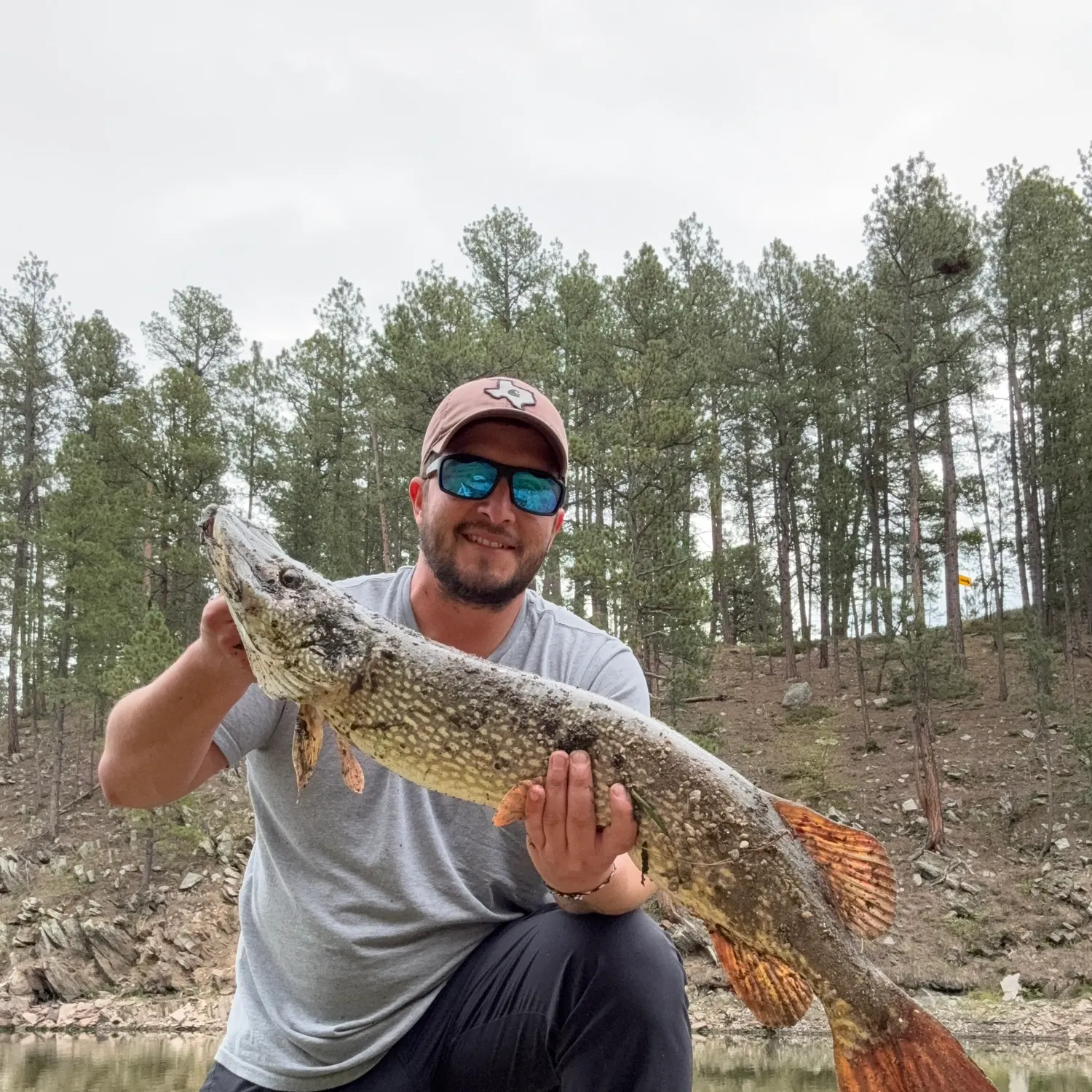 Northern pike caught on Fishbrain