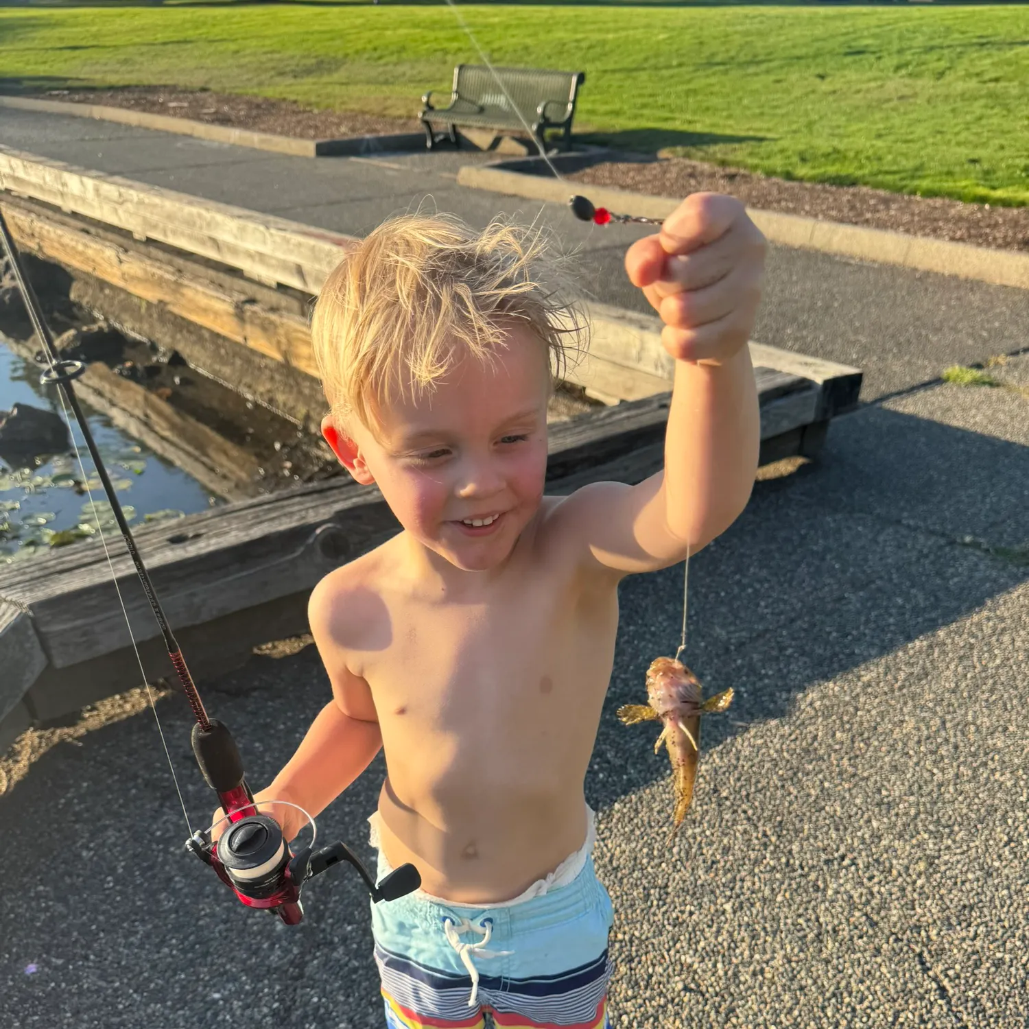 The most recent Mottled sculpin catches on Fishbrain