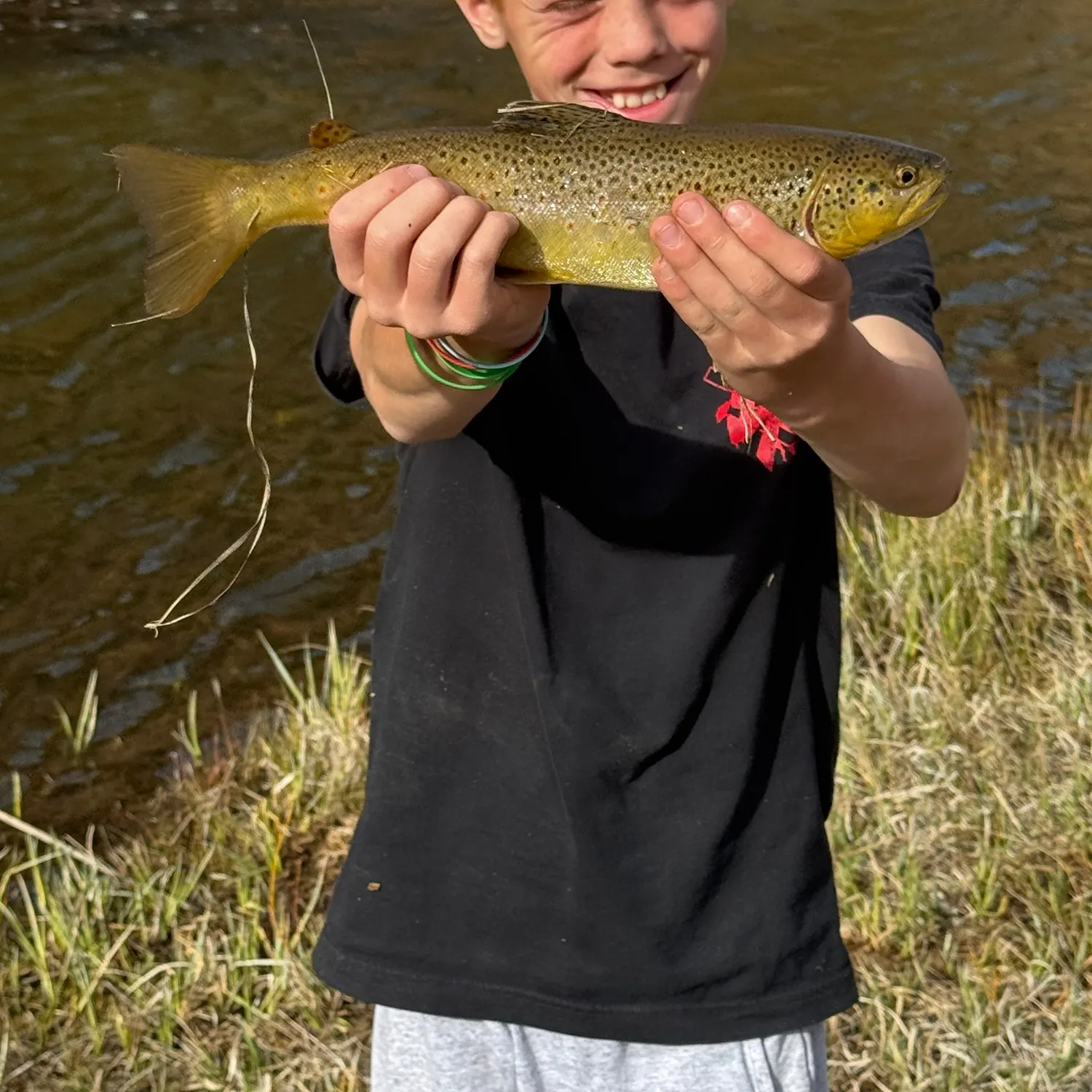 Cutthroat trout caught on Fishbrain