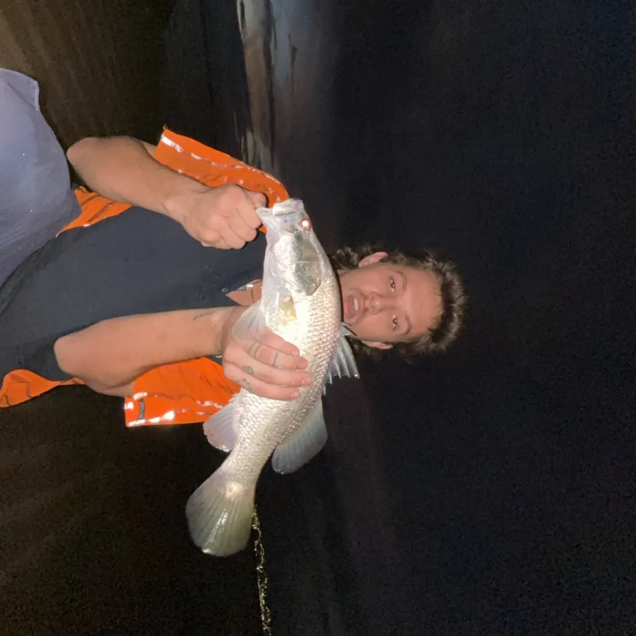 Barramundi caught on Fishbrain