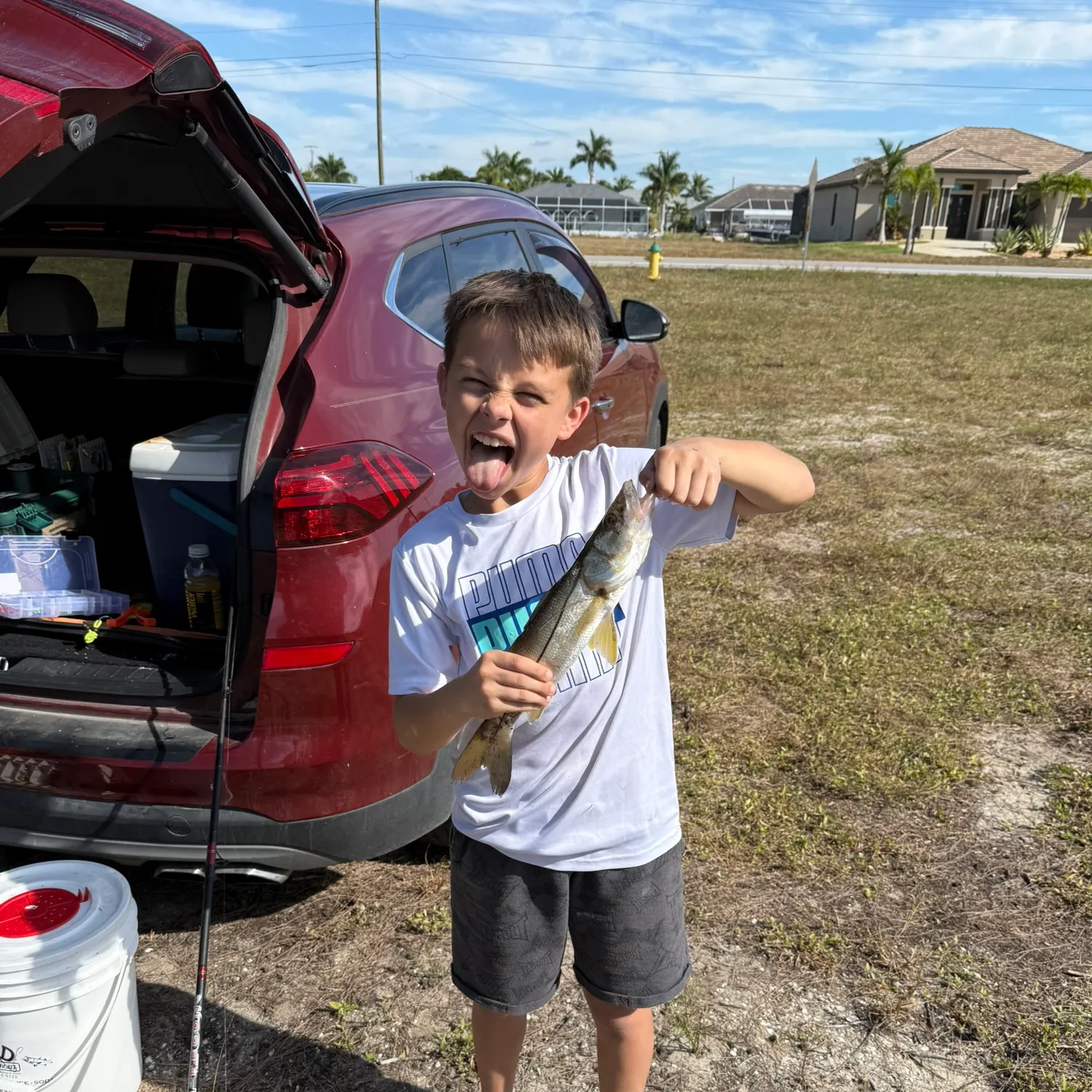 The most recent Tarpon Snook catches on Fishbrain