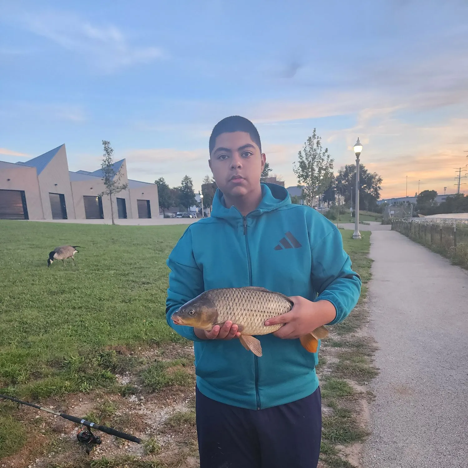Common carp caught on Fishbrain